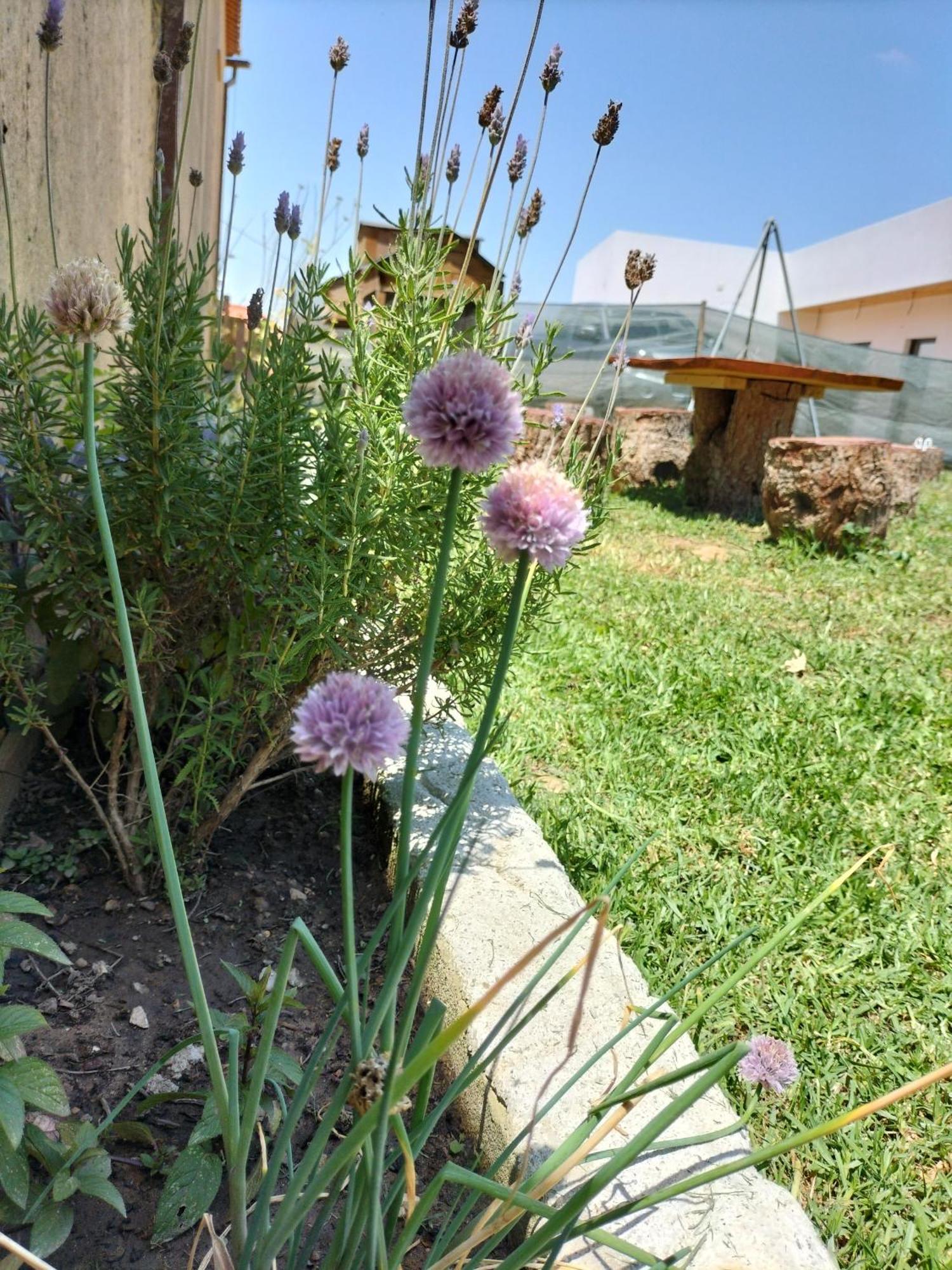 Dinocamp Guest House Lourinha  Exterior photo